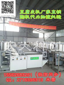 濟南宏大科創2017新款豆腐皮機 價格解析與技術交流
